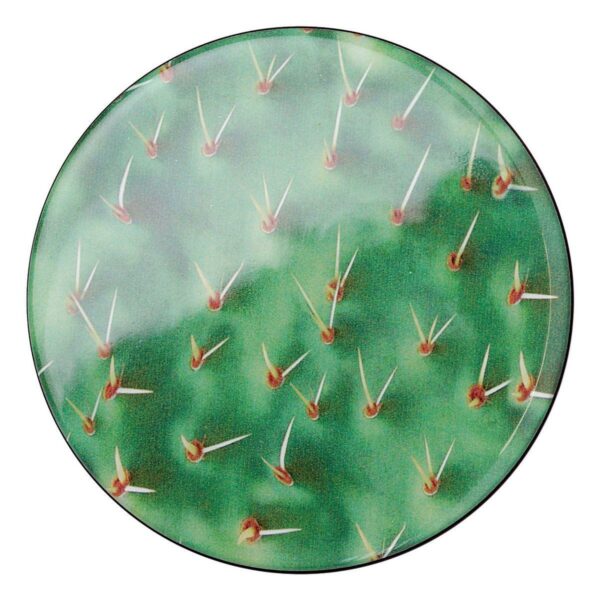 Appendiabiti a forma circolare della collezione Art-Up con pomello in acciaio inox e appendiabiti HPL rivestito in resina con grafica colorata foglia di cactus