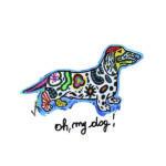 cARTolina in Tyvek leggera e impermeabile con grafica raffigurante un bassotto colorato