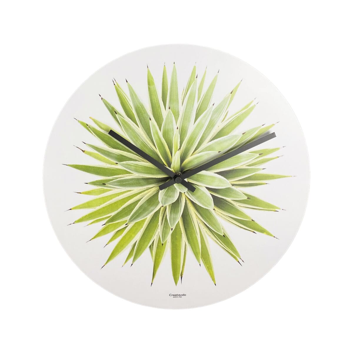 l'immagine fotorealistica di un agave fa da elemento grafico per un orologio da parete bianco e rotondo